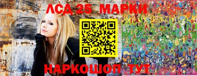 амф Донской