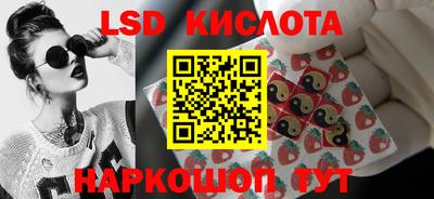 амф Донской