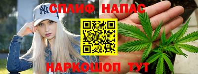 гидра Дубна