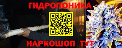 амф Донской