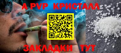 амф Донской